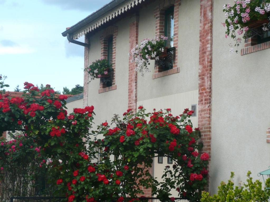 Au Fond De La Cour Bed & Breakfast Veyre-Monton ภายนอก รูปภาพ